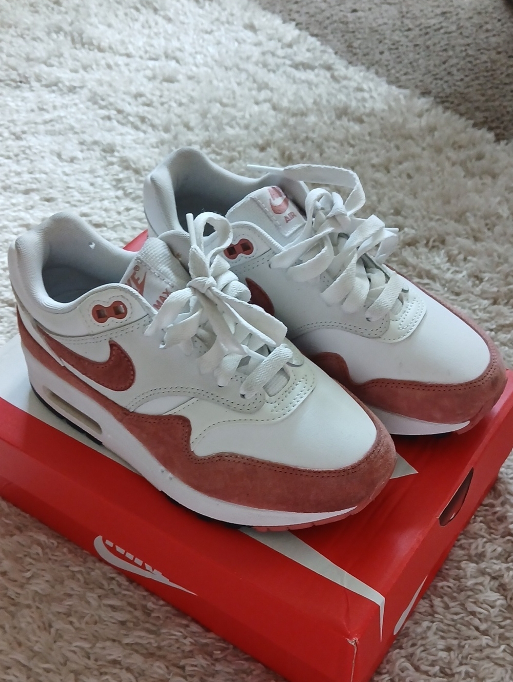 NIKE AIR MAX (WORN)